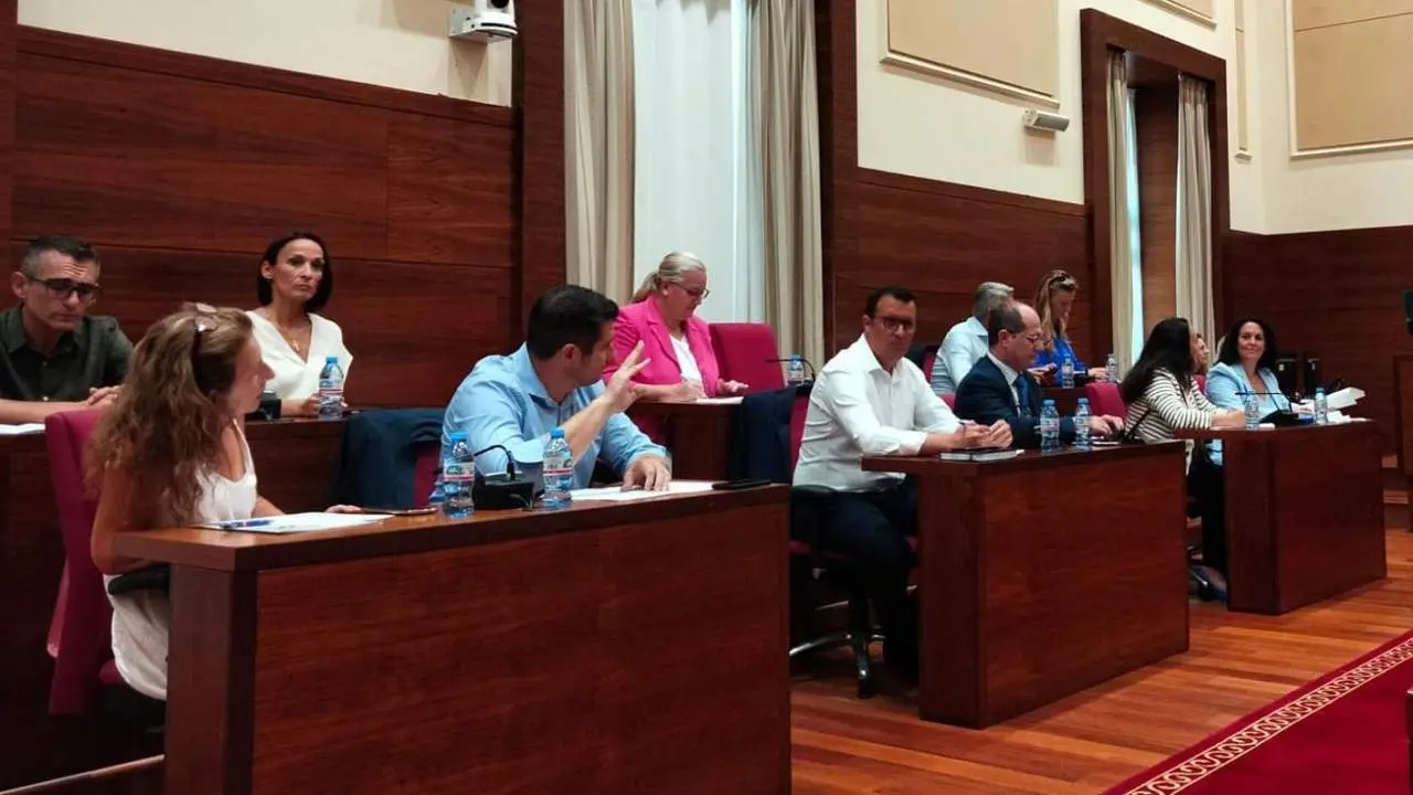 Pleno municipal de Organizaci&oacute;n - VIVA