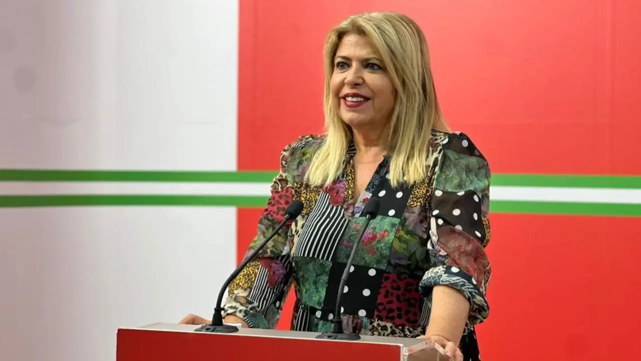 Mamen S&aacute;nchez en rueda de prensa - PSOE