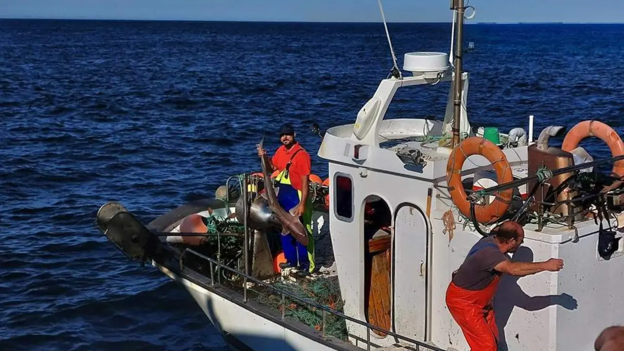 Barco de la flota pesquera artesanal. - Perales 