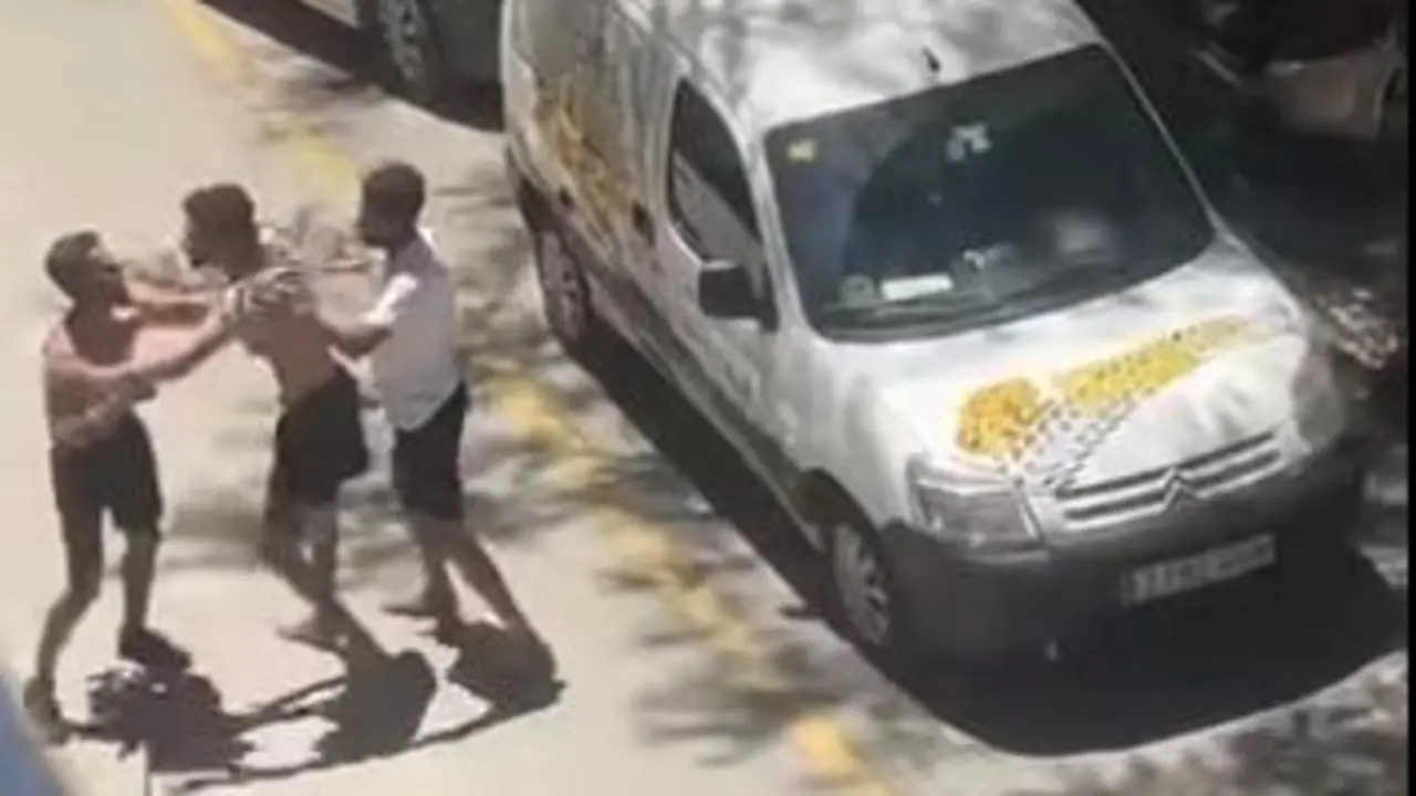 Pelea de gorrillas en Costa de la Luz. - VH
