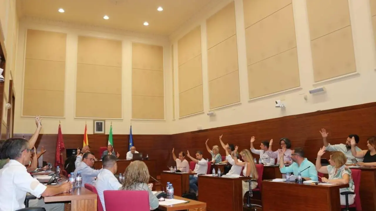 Pleno Ordinario de julio - VIVA
