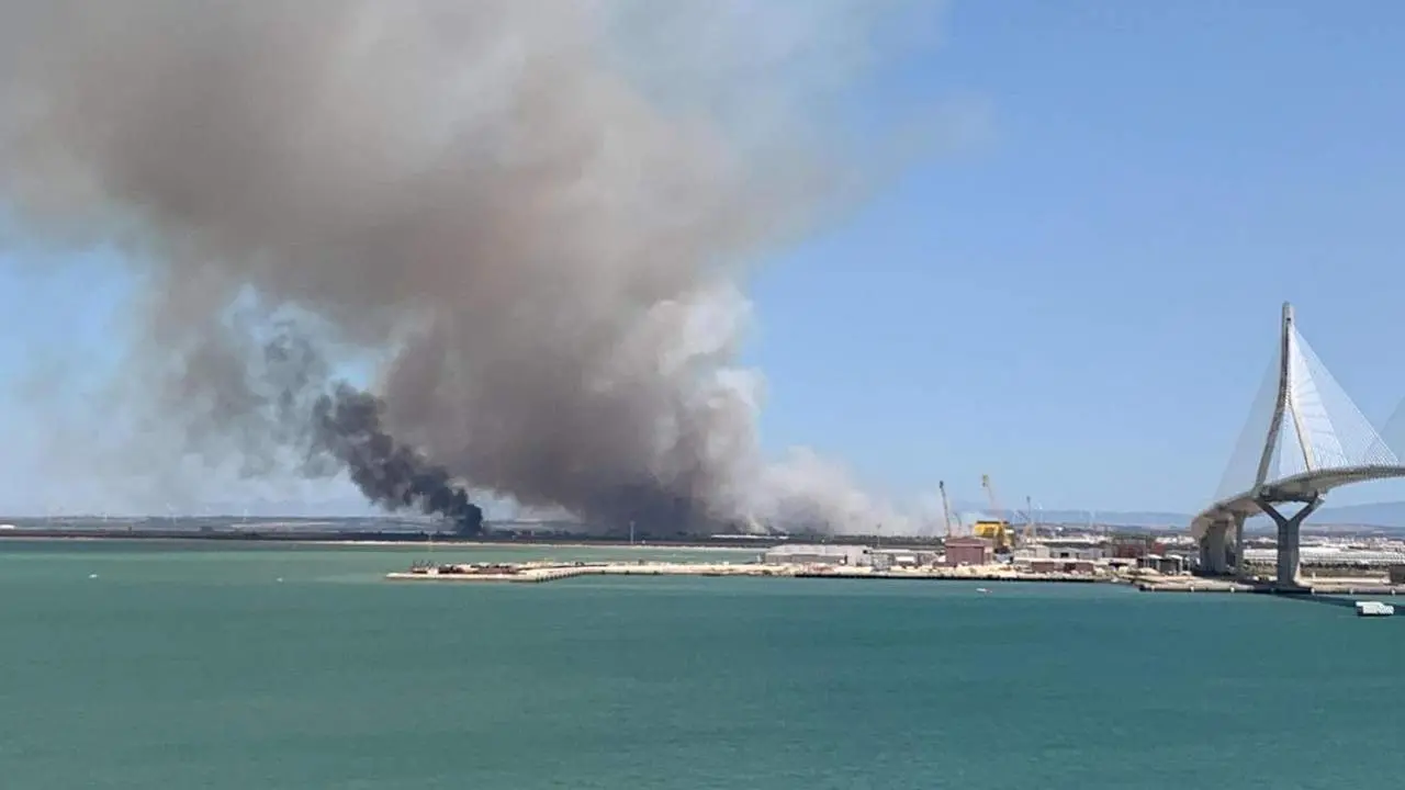 Imagen del fuego en Puerto Real y el puente de la Constituci&oacute;n. - VIVA