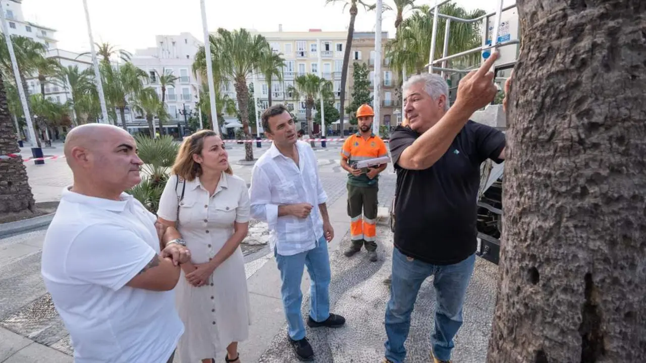 El alcalde, Bruno Garc&iacute;a, junto a la palmera que ser&aacute; sustituida. - VIVA