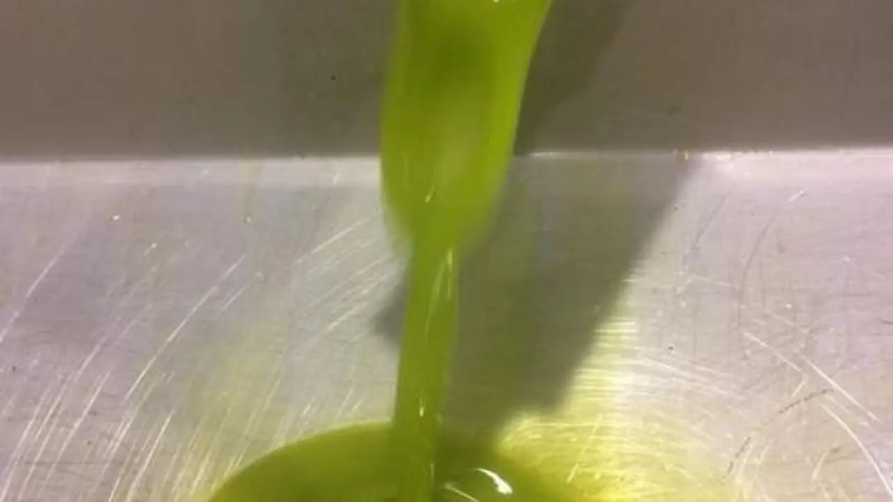 Aceite de oliva en almazara. - EUROPA PRESS