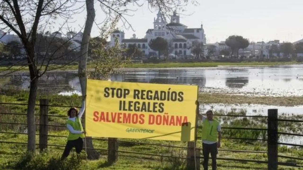 Pancarta desplegada por Greenpeace en El Roc&iacute;o. - GREENPEACE