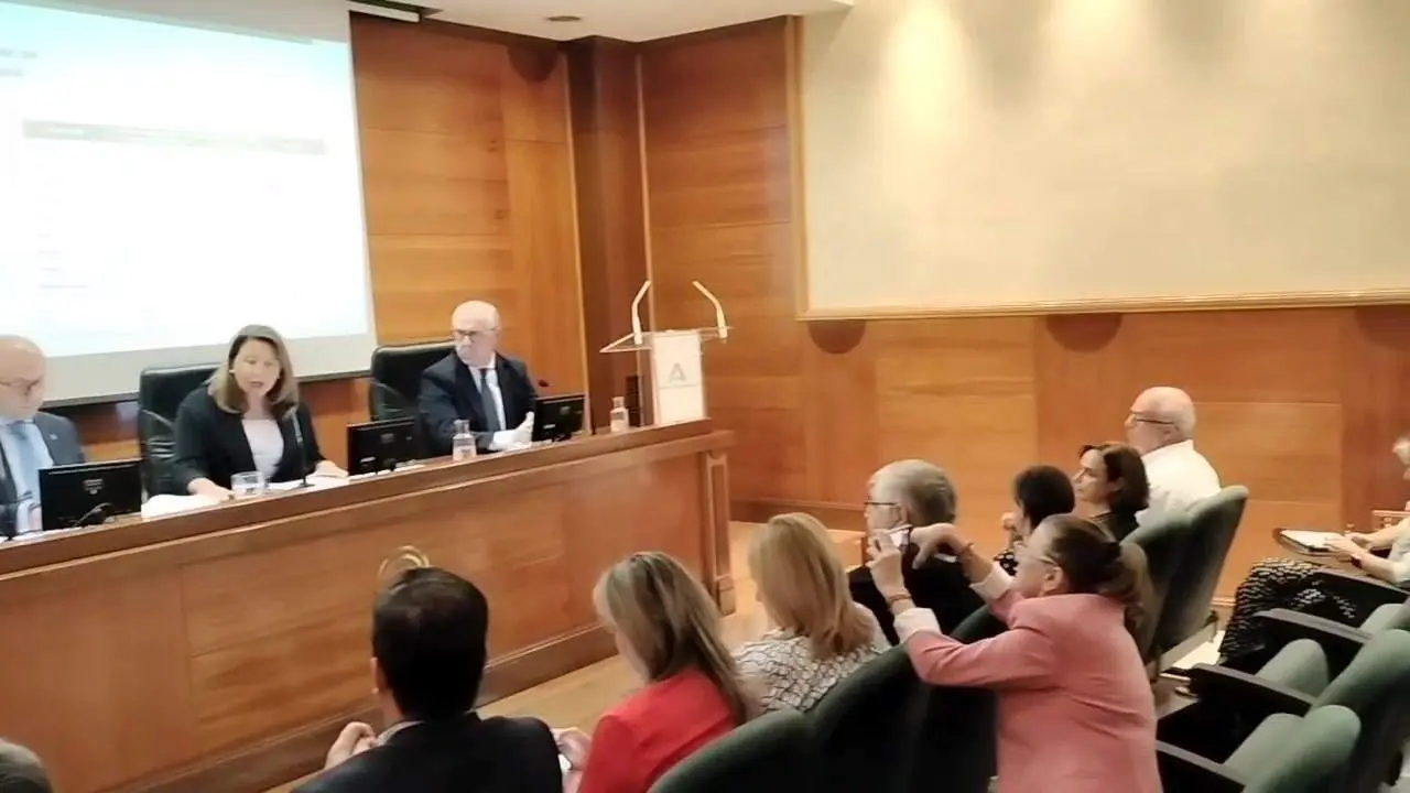 El Aforo del Olivar prev&eacute; una campa&ntilde;a "ligeramente superior" en Andaluc&iacute;a