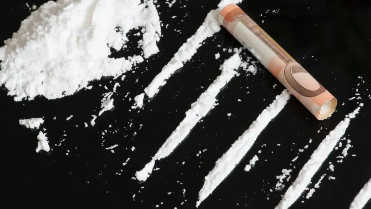 Vend&iacute;a fundamentalmente coca&iacute;na. - Viva