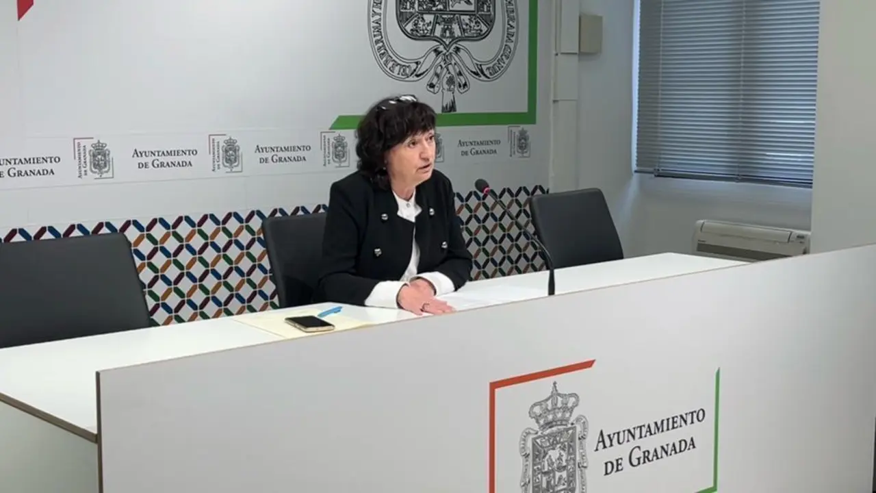 Eva Fern&aacute;ndez Romero comparece ante los medios - PSOE Granada