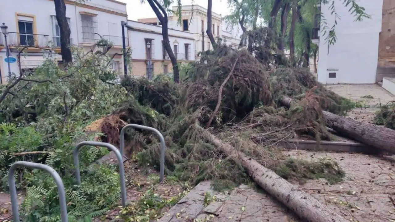 Efectos de Bernard a su paso por Jerez.  - Andaluc&iacute;a Informaci&oacute;n
