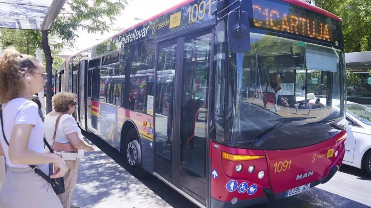 Un autob&uacute;s urbano de Tussam. - Archivo