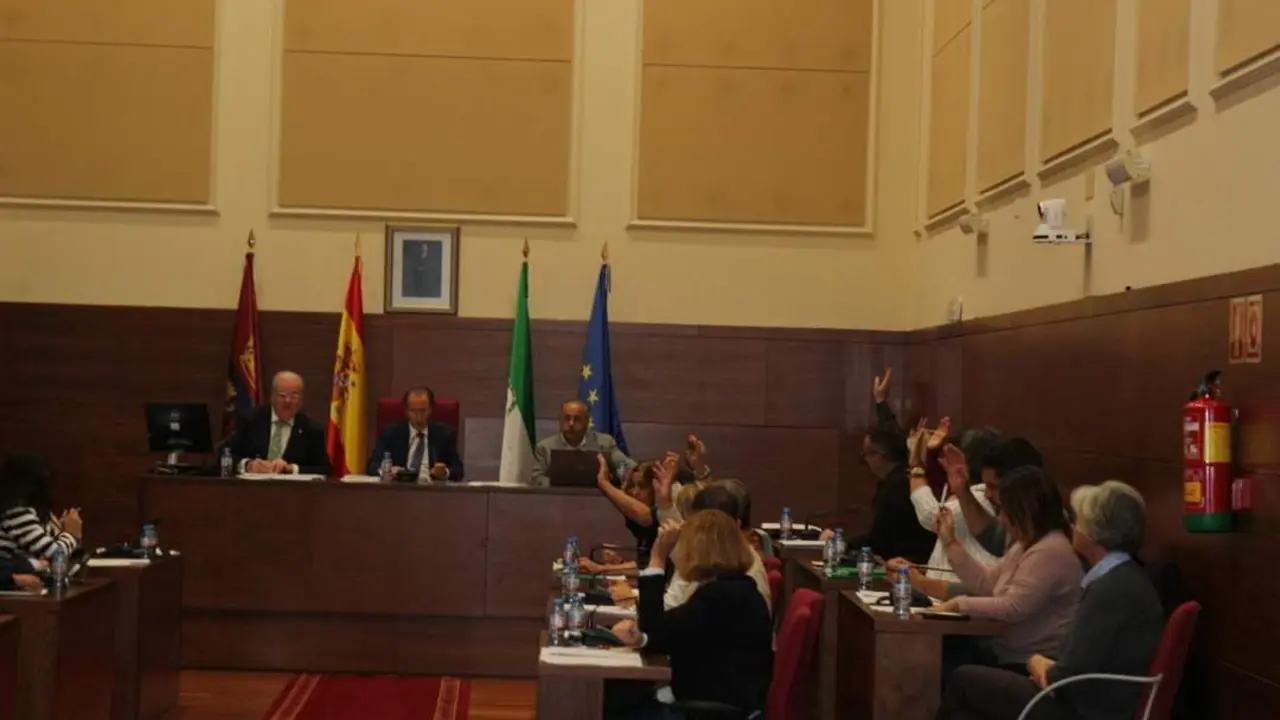 Pleno Municipal octubre - VIVA