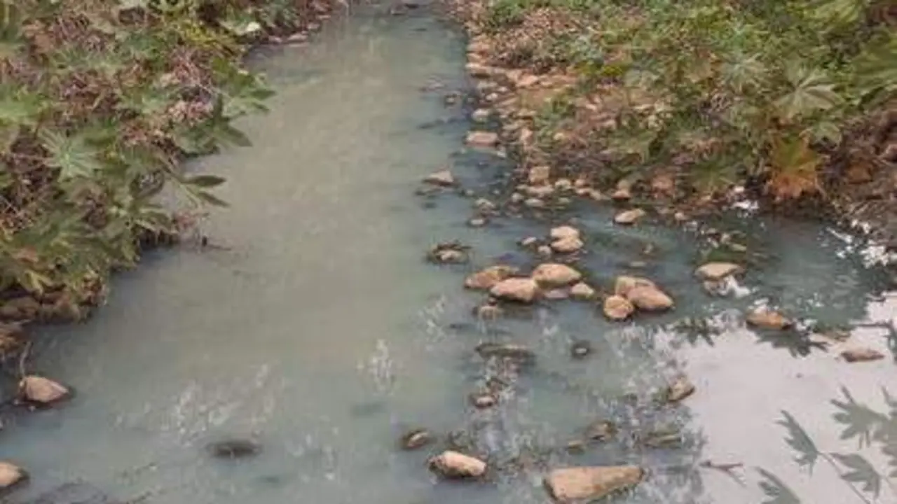 Vertido de aguas residuales en La L&iacute;nea. - AI
