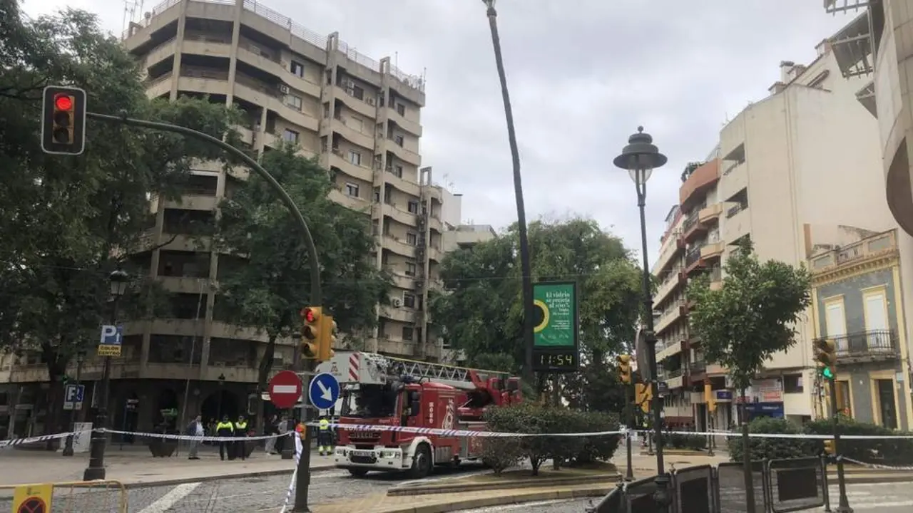 Evaluaci&oacute;n especial de la palmera este jueves. - VGPALACIOS