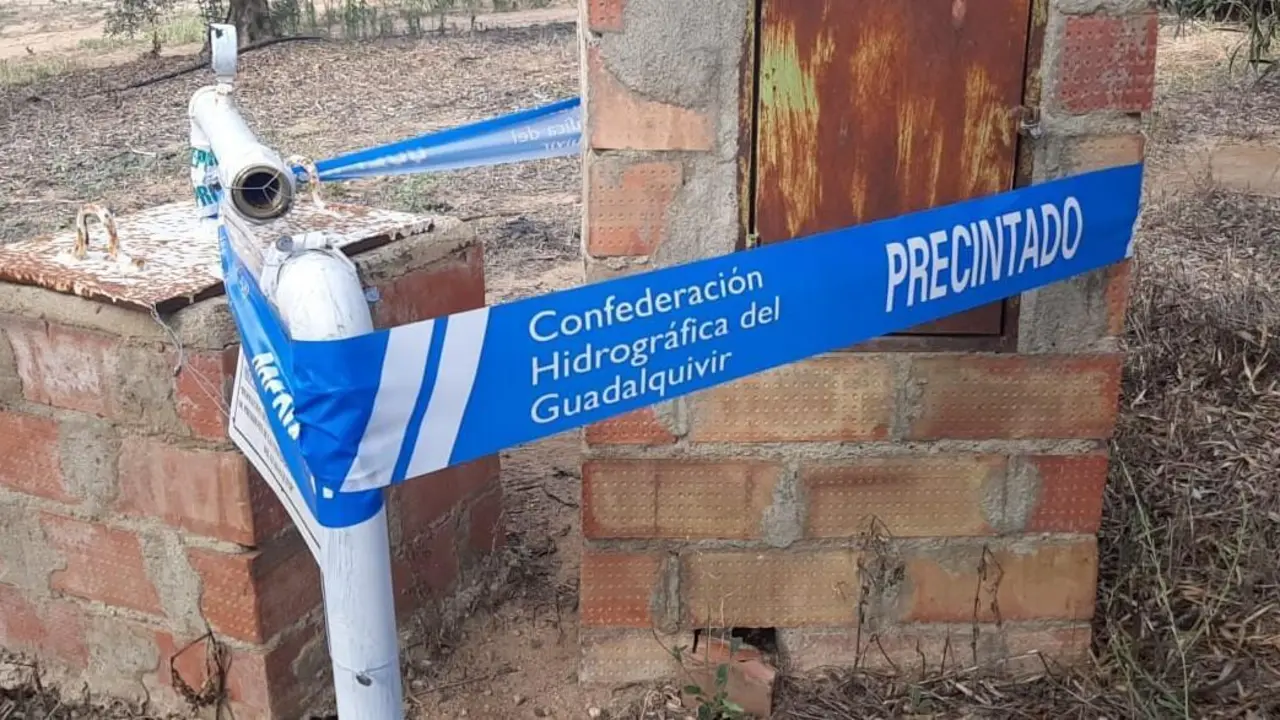 Precinto en la Vega del Guadaquivir. - Archivo