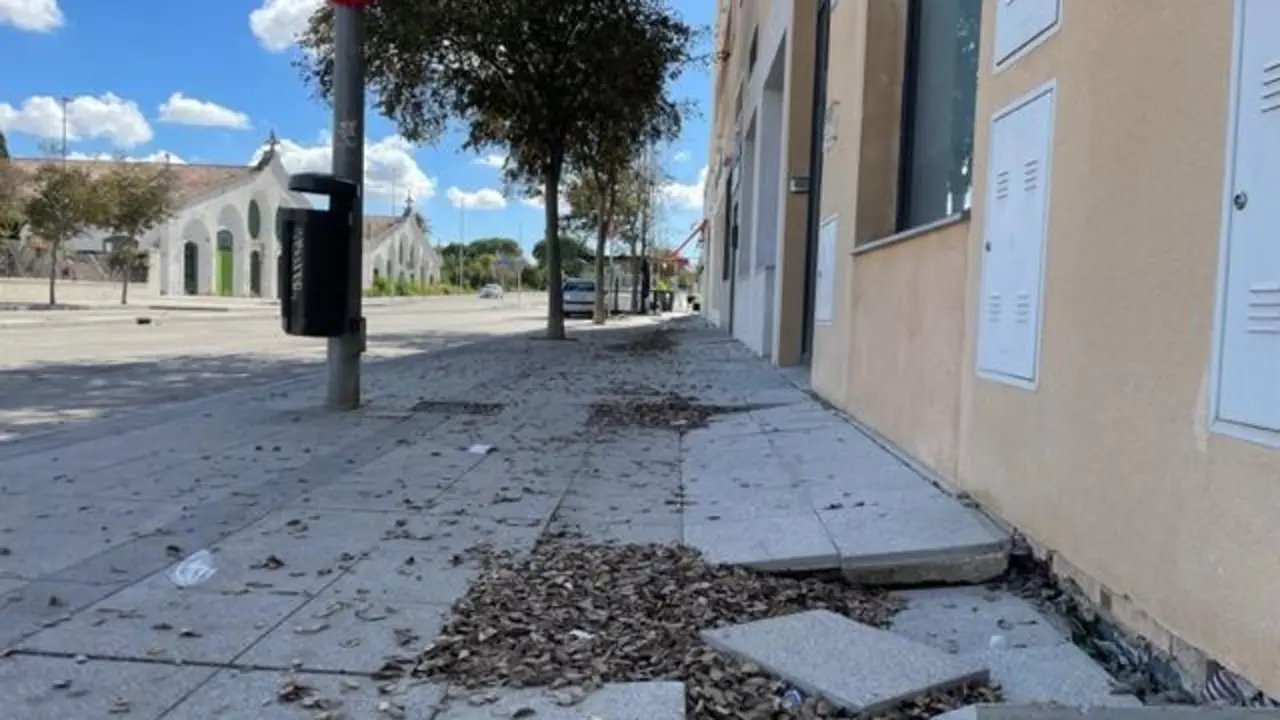 As&iacute; se encuentra el acerado que rodea a la urbanizaci&oacute;n.  - Viva