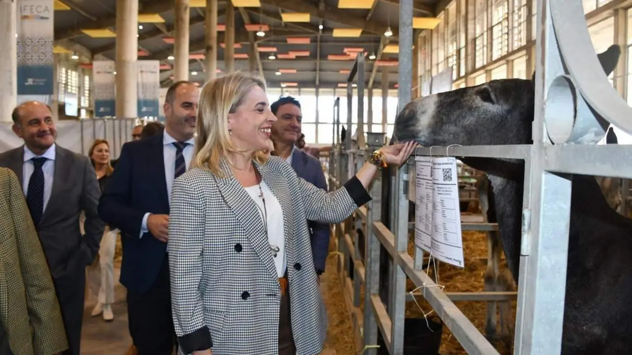 La presidenta de Diputaci&oacute;n en la inauguraci&oacute;n.  - Viva