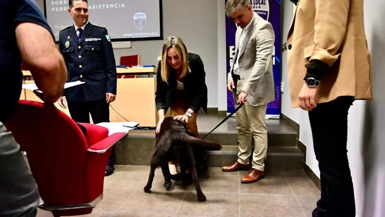 Jornadas sobre perros de asistencia a diab&eacute;ticos - Ayuntamiento de Granada
