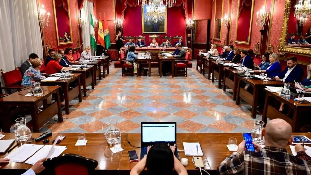 Pleno del Ayuntamiento de Granada - Europa Press
