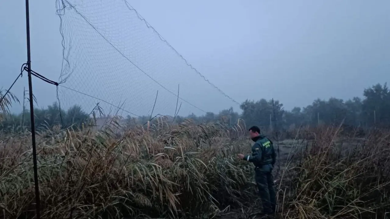 Seprona. - Guardia Civil