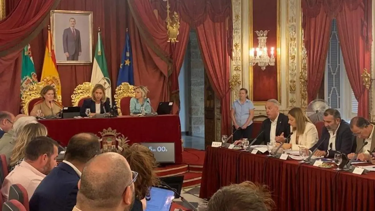 Pleno de la Diputaci&oacute;n de C&aacute;diz. - VCG