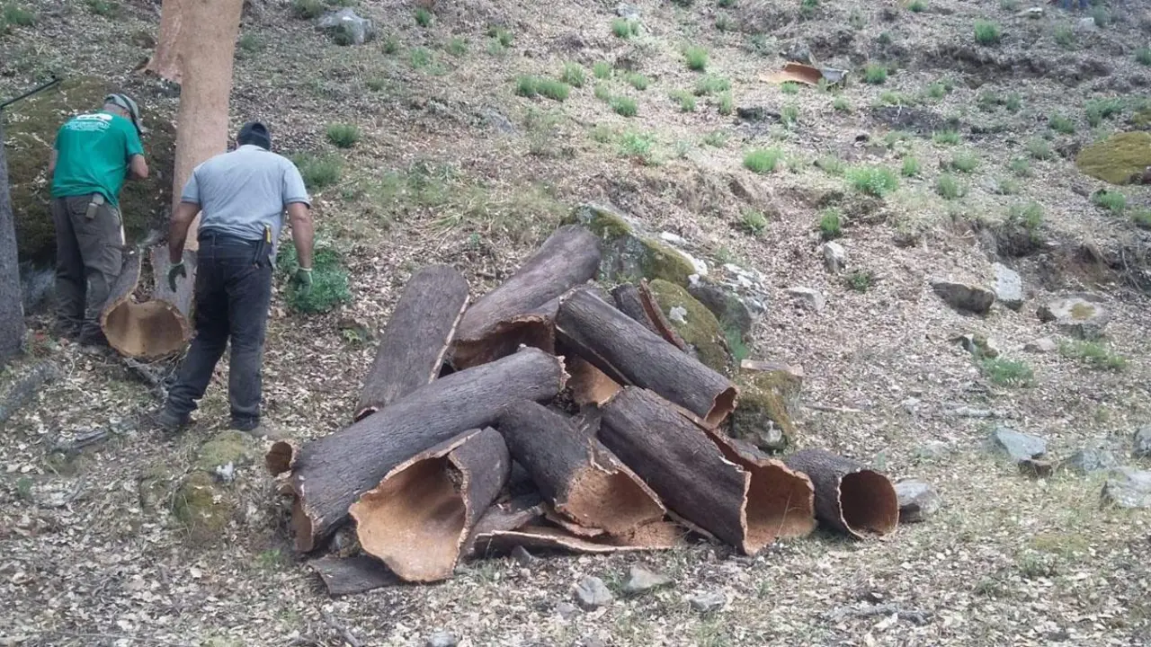 Oportunidad de formar parte de la plantilla municipal. - 