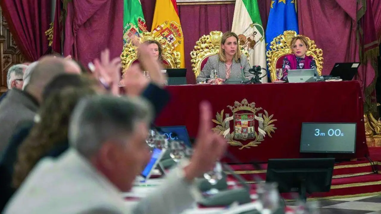 Pleno de la Diputaci&oacute;n Provincial de C&aacute;diz. - VIVA