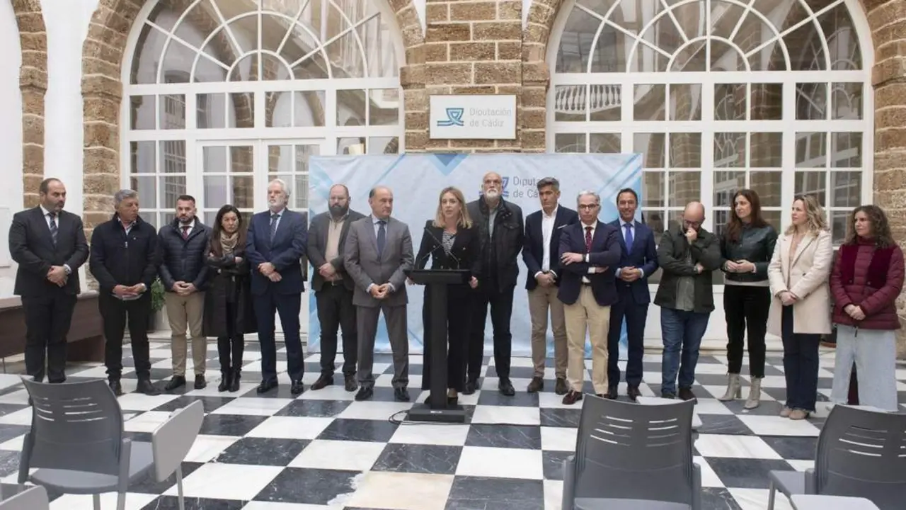 El Gobierno de Diputaci&oacute;n de C&aacute;diz, tras el Pleno de Presupuestos. - VIVA