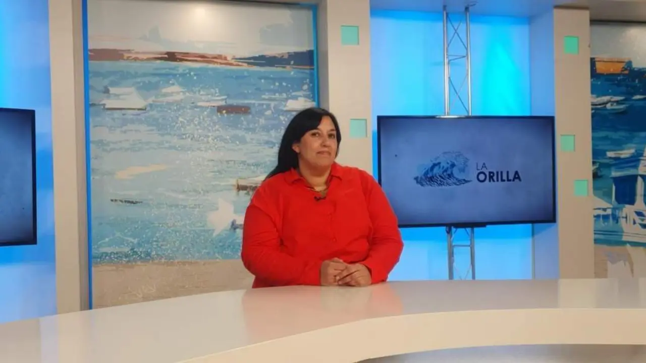 Ana Fern&aacute;ndez, portavoz de Adelante Izquierda Gaditana. - Mar&iacute;a Palacios