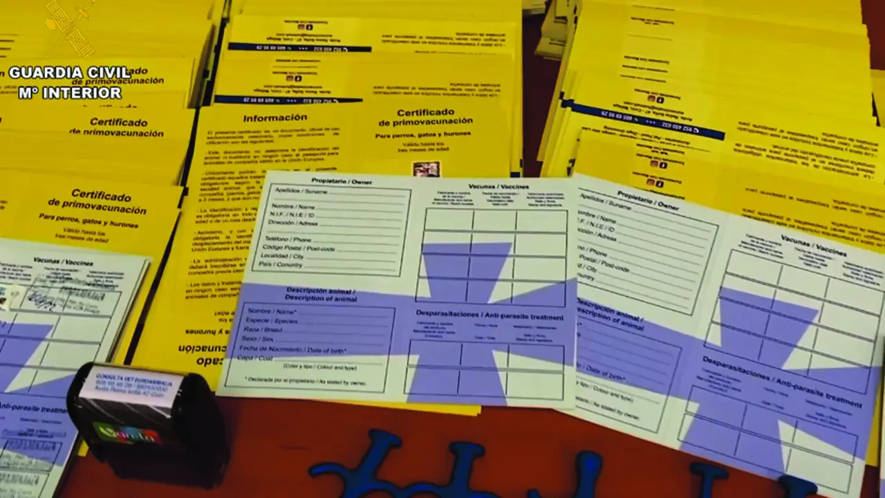 Detenida por blanquear actuaciones ilegalidad del personal no colegiado como veterinarios