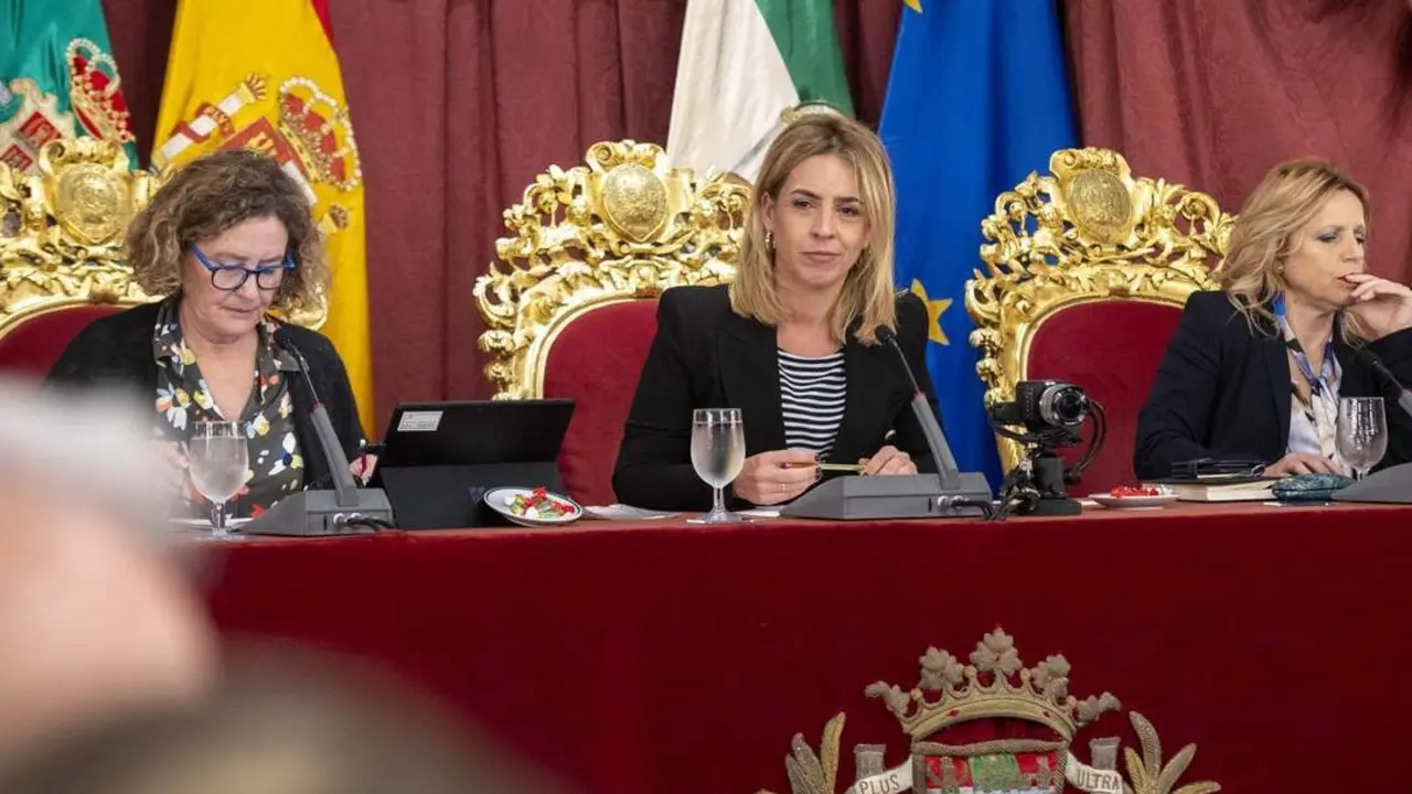 La presidenta de Diputaci&oacute;n de C&aacute;diz, Almudena Mart&iacute;nez. - VIVA