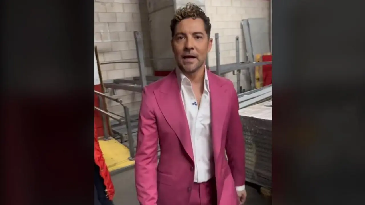 Bisbal, en su v&iacute;deo m&aacute;s viral. - @henrygr126 / TikTok