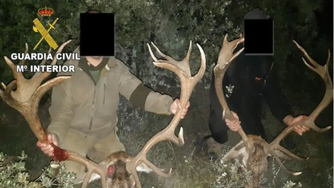 Trofeos de caza del grupo criminal. - Europa Press