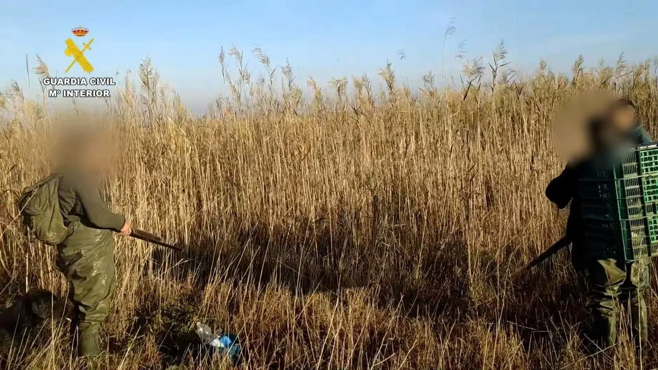 Sorprendidos cazando patos salvajes en terrenos de Do&ntilde;ana en el t&eacute;rmino de Isla Mayor