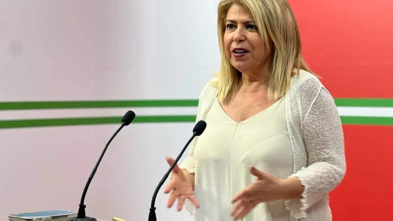 Mamen S&aacute;nchez en rueda de prensa - PSOE