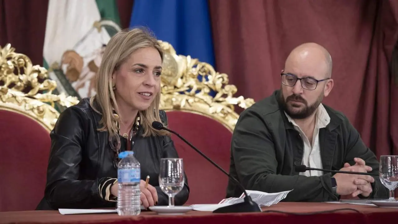 Almudena Mart&iacute;nez y Germ&aacute;n Beardo, en Diputaci&oacute;n. - VIVA