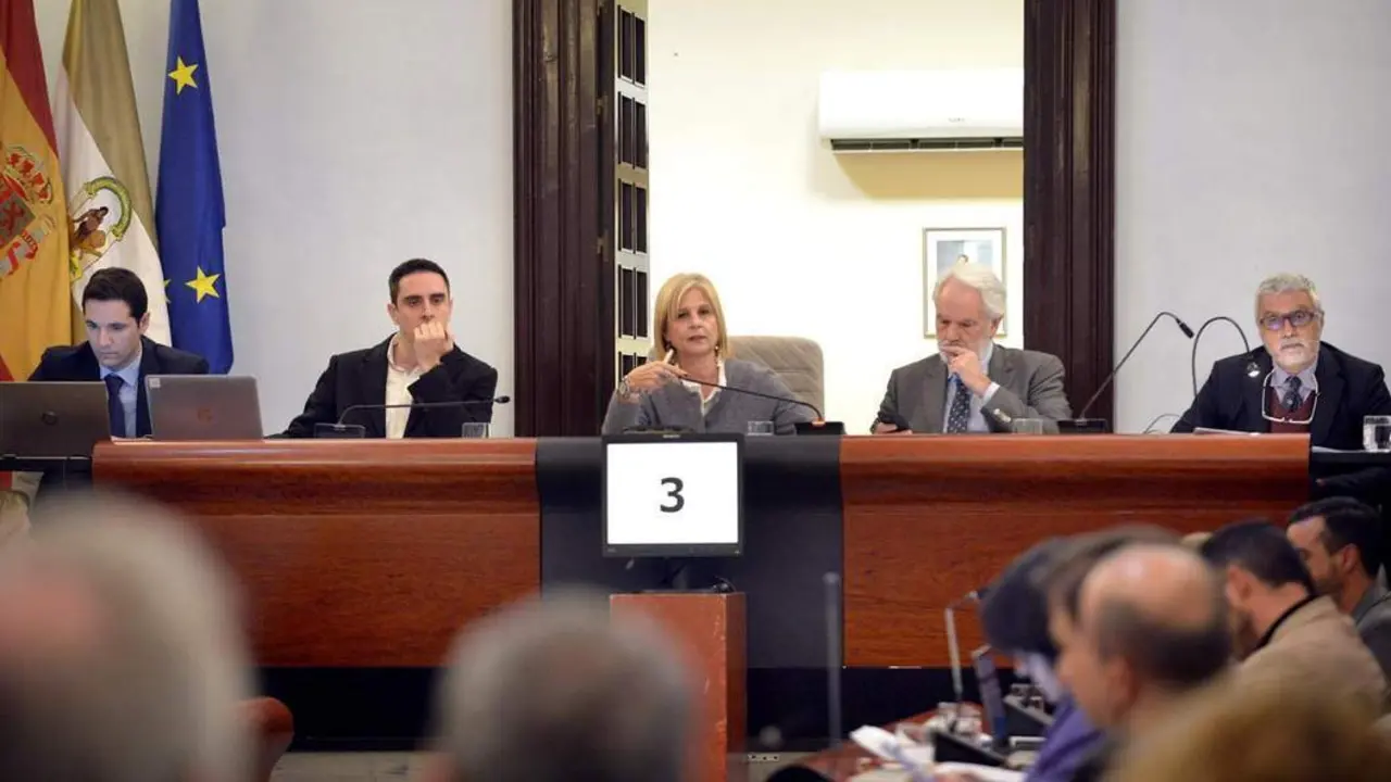 Mar&iacute;a Jos&eacute; Garc&iacute;a-Pelayo, presidiendo el Pleno municipal.  - Andaluc&iacute;a Informaci&oacute;n