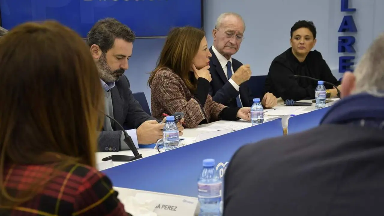 Navarro ha planteado la propuesta del PP. - VM