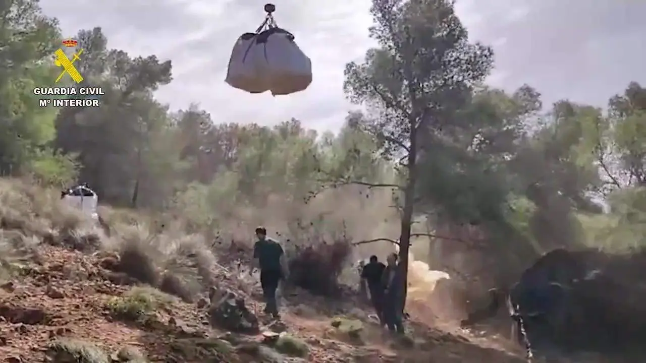 Nueve detenidos por deforestar dos hect&aacute;reas de un paraje natural para plantar marihuana