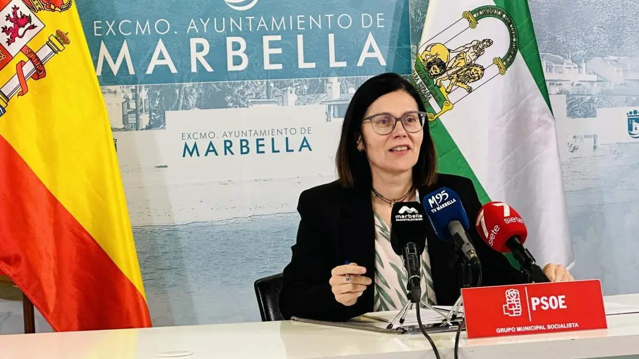 La portavoz socialista. - VM