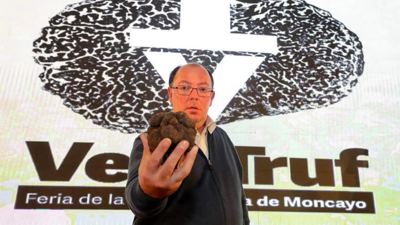 La trufa m&aacute;s grande de VeraTruf 2024. - EP