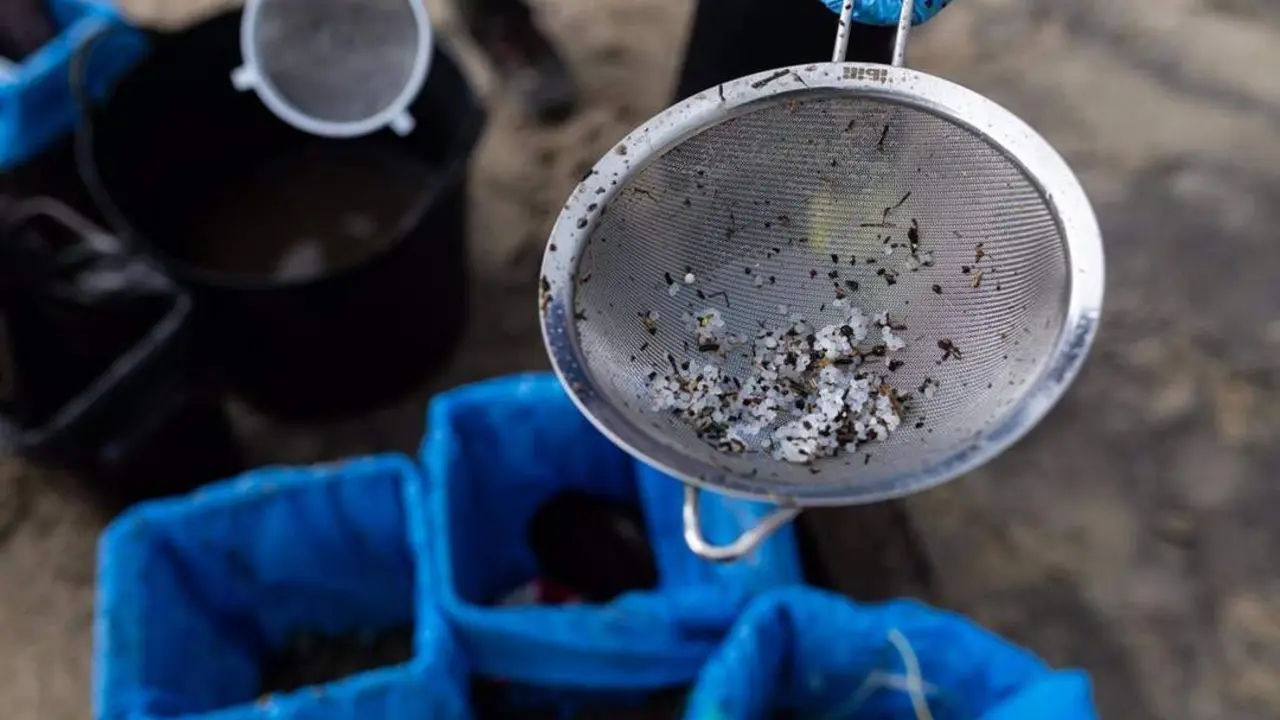 Imagen de p&eacute;lets encontrados en la playa Bos, en Noia, A Coru&ntilde;a - Elena Fern&aacute;ndez - Europa Press
