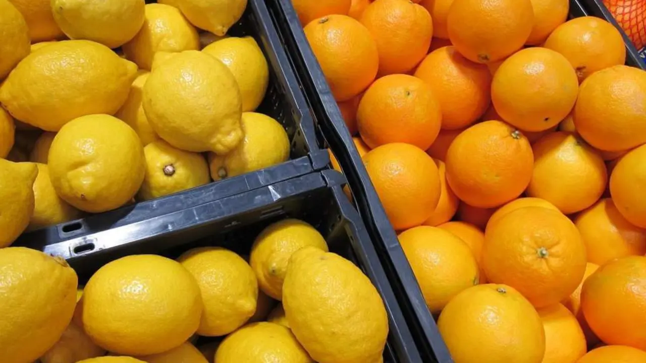 Limones (archivo). | EP