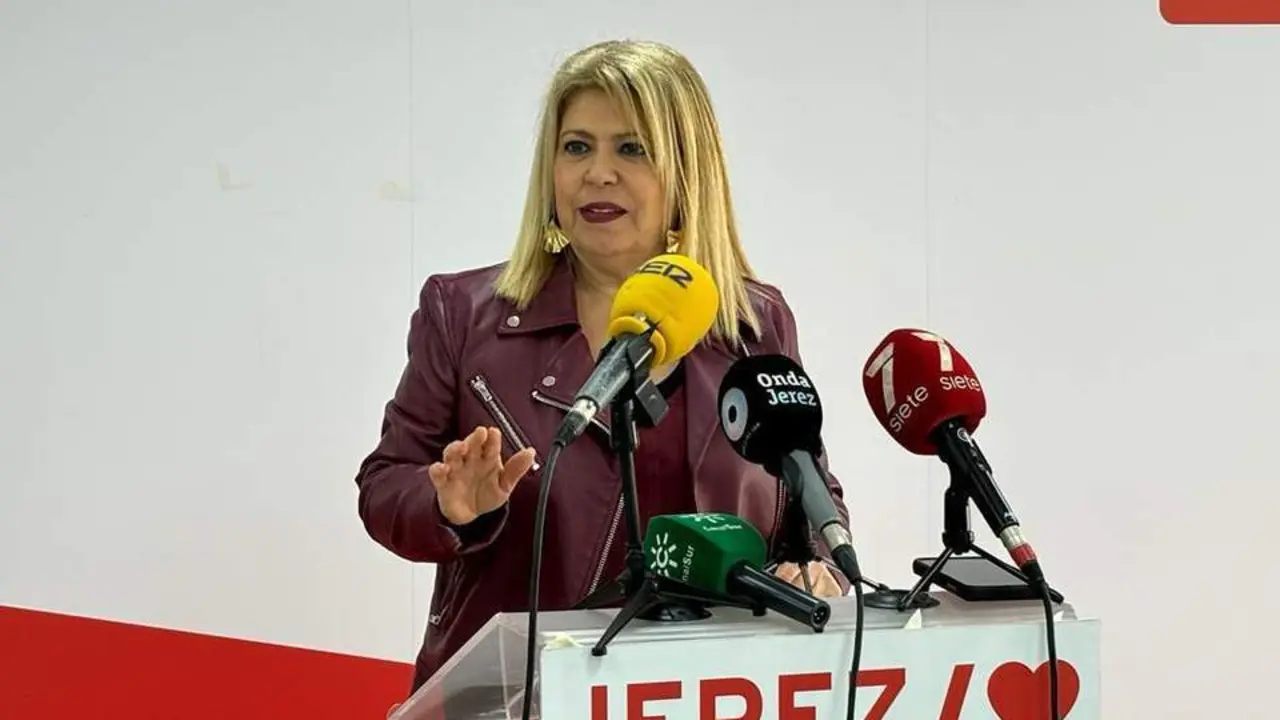 Mamen S&aacute;nchez, en rueda de prensa. - PSOE