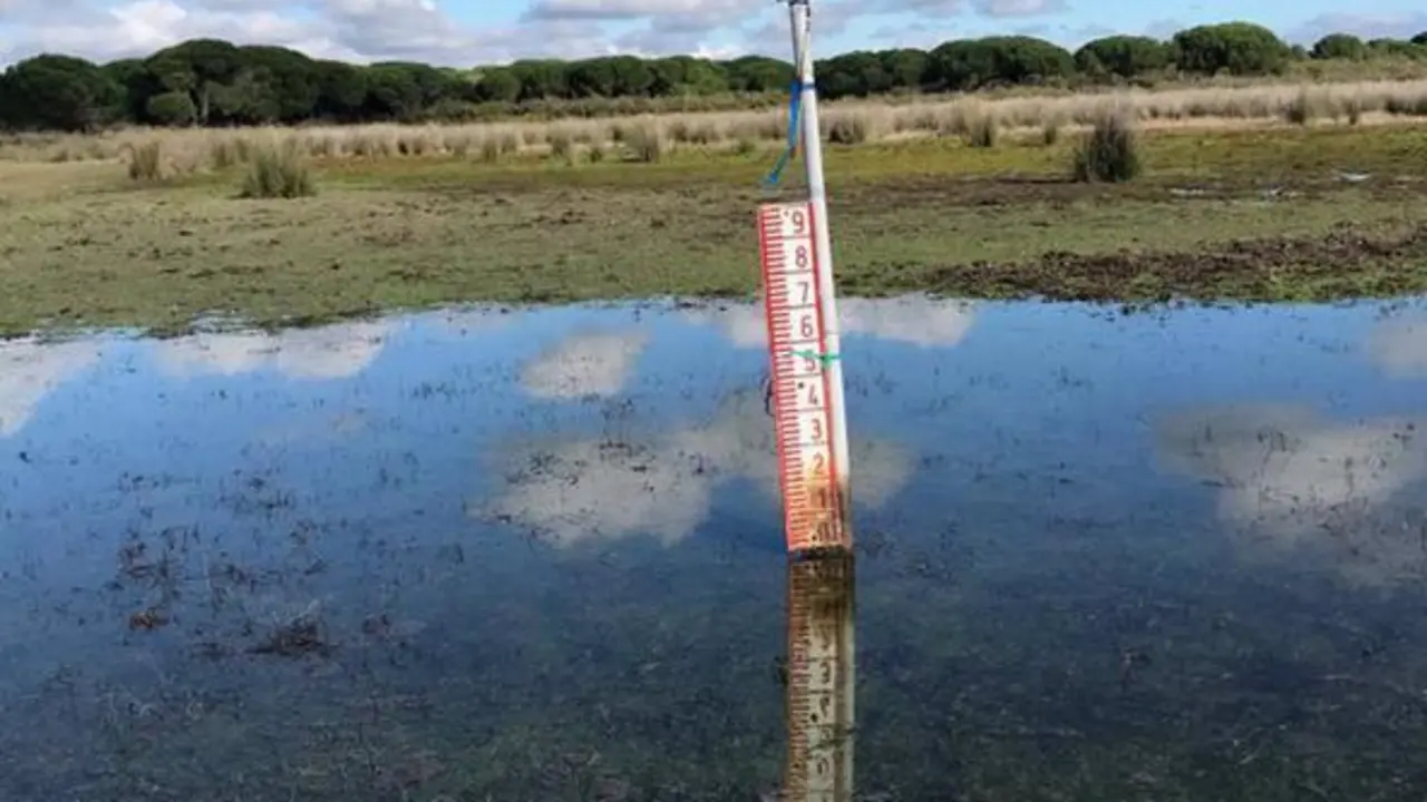 Muestreos llevados a cabo por los investigadores en lagunas de Do&ntilde;ana - UPO
