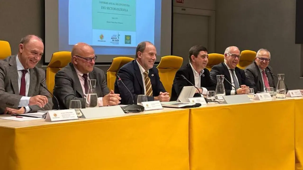 Presentaci&oacute;n del informe este lunes.  - Diputaci&oacute;n de Ja&eacute;n