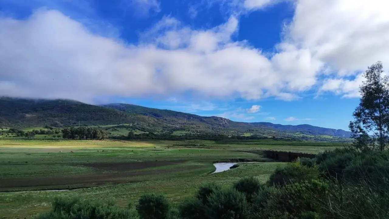 El pantano de Charco Redondo con un bajo nivel, este martes - DFV