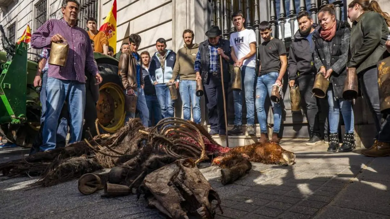 Protesta de agricultores y ganaderos de Cantabria. - EFE