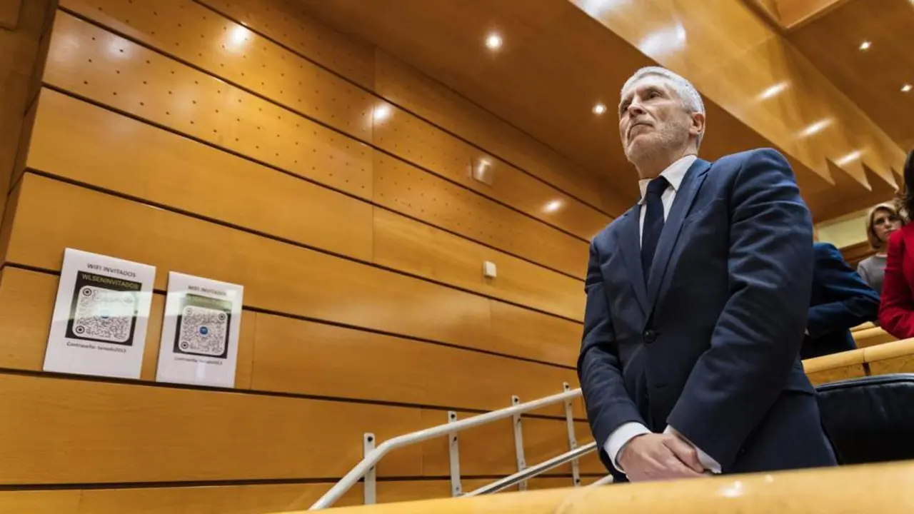 El ministro del Interior, Fernando Grande-Marlaska. - Europa Press