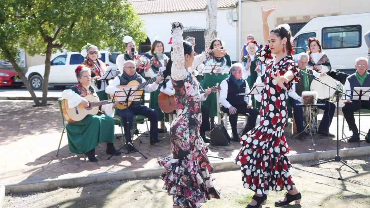 Exhibici&oacute;n de baile flamenco.  - 