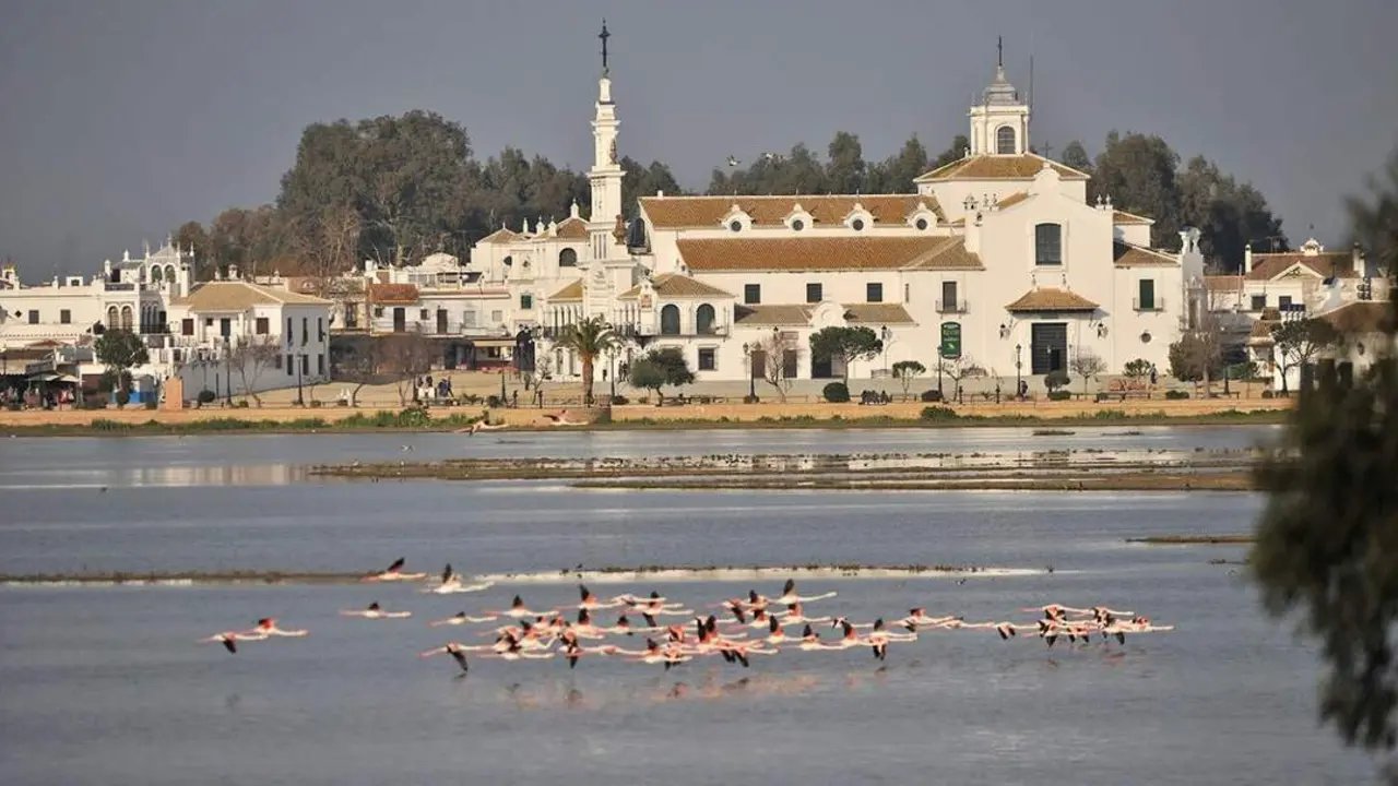 Santuario de El Roc&iacute;o - Ayto Almonte